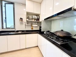 The Lincoln Residences (D11), Condominium #625552581
